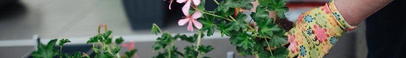 海南一线视点杂志社有限公司